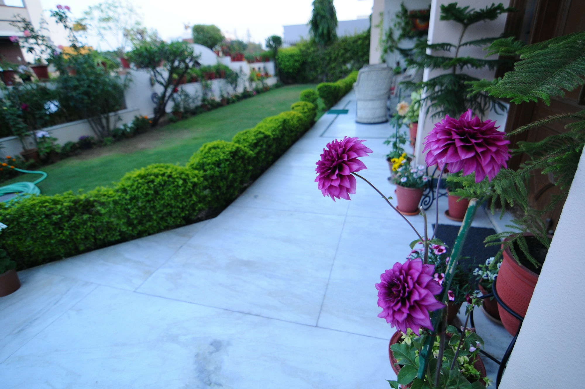 Jaipur Friendly Villa Exterior photo